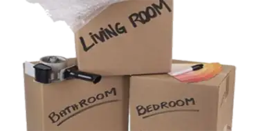 Carton Reference