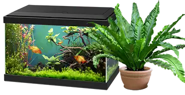Moving Fish and Plants